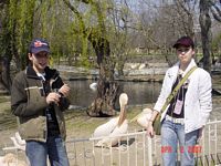 Побити Камъни Варна